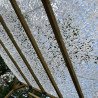 Lumière filtrée par un filet de camouflage blanc sur une pergola en bois
